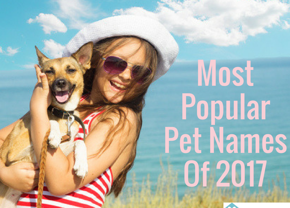 8 Tips to Naming your Pet Plus The Top Pet Names of 2017