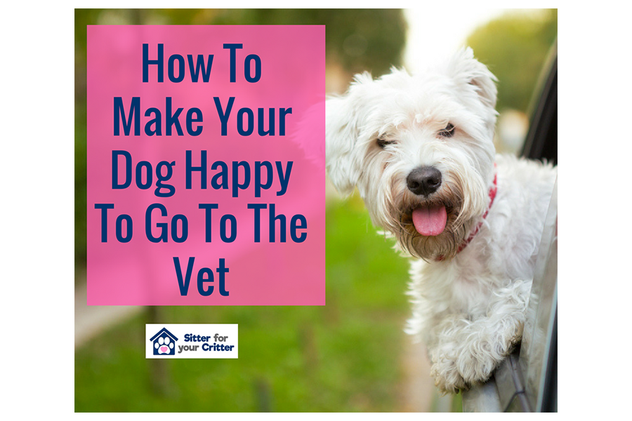 How To Make Your Dog Happy To Go To The Vet