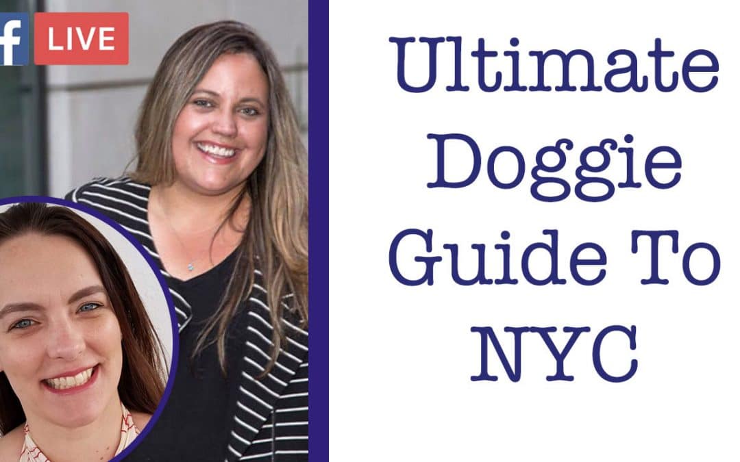 The Ultimate Doggie Guide To NYC (w/ Heather Gaida) – Critter Chat Episode 4