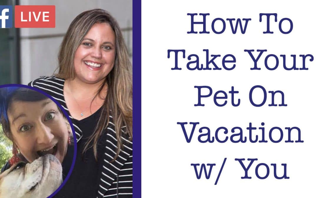 Taking Your Pets on Vacations Tips with Becki Davis – Critter Chat Episode 2